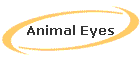 Animal Eyes