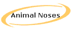 Animal Noses