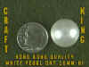 PEARL-HK-16mm-AI.jpg (18328 bytes)